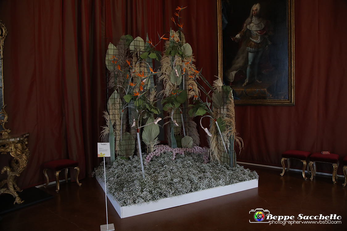 VBS_0130 - Corollaria Flower Exhibition 2022.jpg